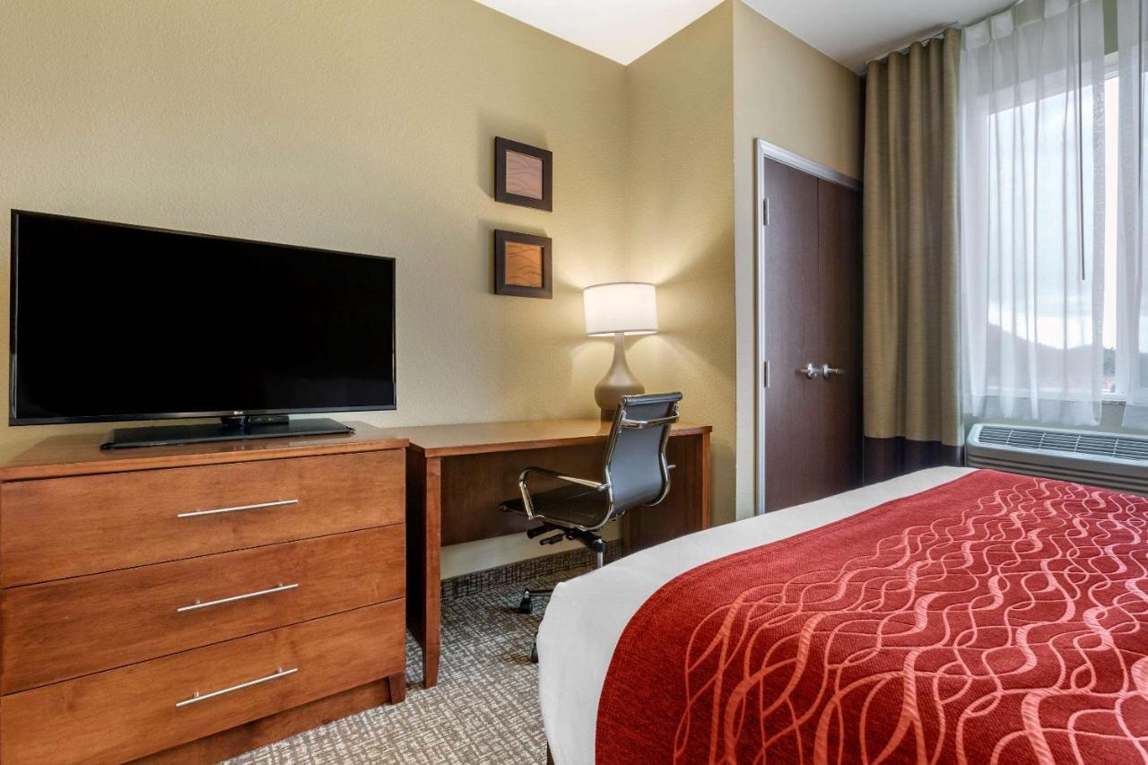 היל סיטי Comfort Inn & Suites Near Mt Rushmore מראה חיצוני תמונה