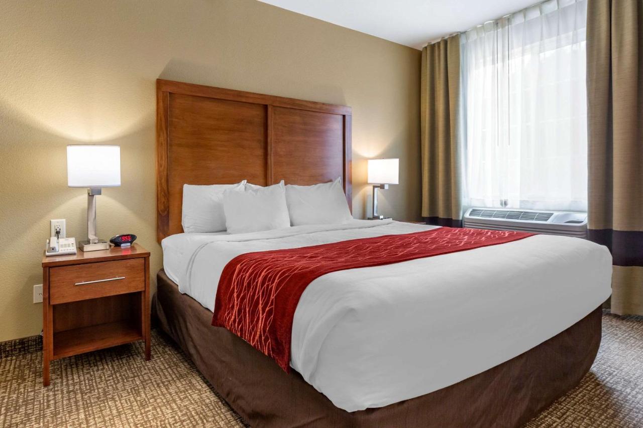 היל סיטי Comfort Inn & Suites Near Mt Rushmore מראה חיצוני תמונה