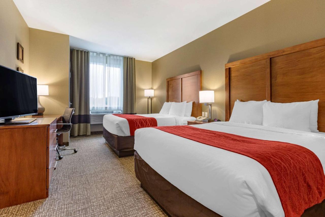 היל סיטי Comfort Inn & Suites Near Mt Rushmore מראה חיצוני תמונה