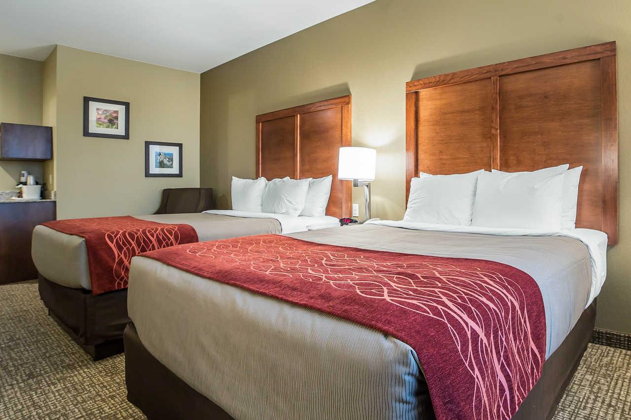 היל סיטי Comfort Inn & Suites Near Mt Rushmore מראה חיצוני תמונה